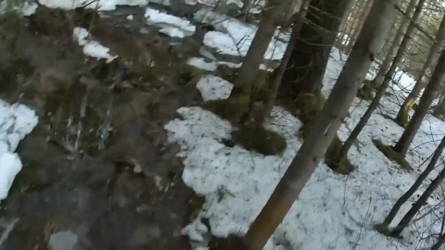 Охота на медведя с подхода на его добыче. смотреть онлайн