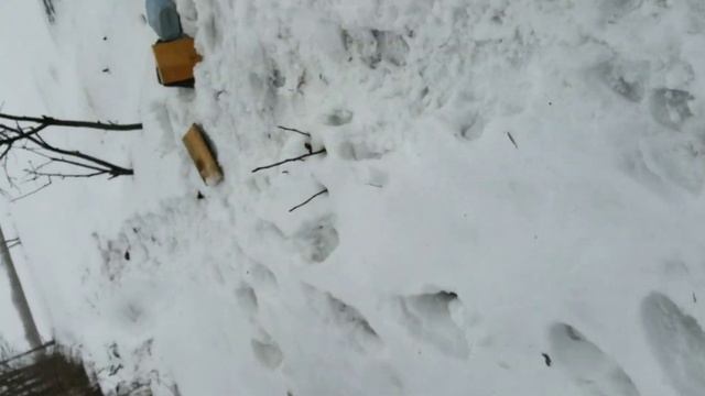 Hatsan 125 отстрел пуль по доске толщиной 30мм. смотреть онлайн