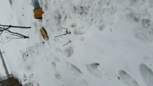 Hatsan 125 отстрел пуль по доске толщиной 30мм.