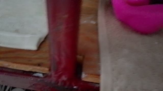 Блог день сквиши собачек!!! ✥ смотреть онлайн