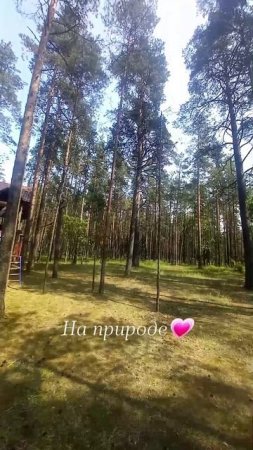 На природе #путешествия