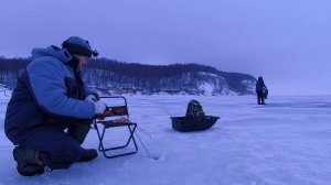 И НА ВОЛГЕ БЕРШИ КЛЮЮТ / РЫБАЛКА В ДЕКАБРЕ.
