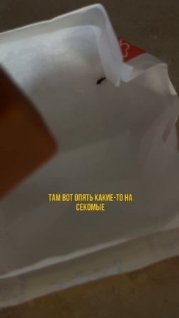 Как они уже достали!