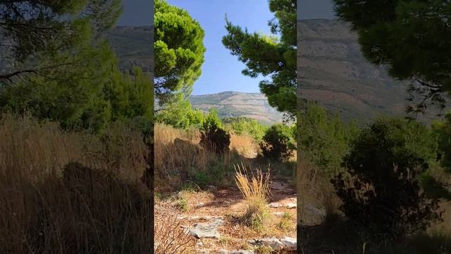 Петровац. Вверх по горе от спорт площадки. смотреть онлайн