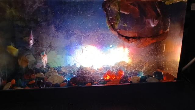 АРОМАТЫ ДЛЯ ДОМА 🪷САШЕ СВОИМИ РУКАМИ 🍃 ЧИСТКА АКВАР? смотреть онлайн