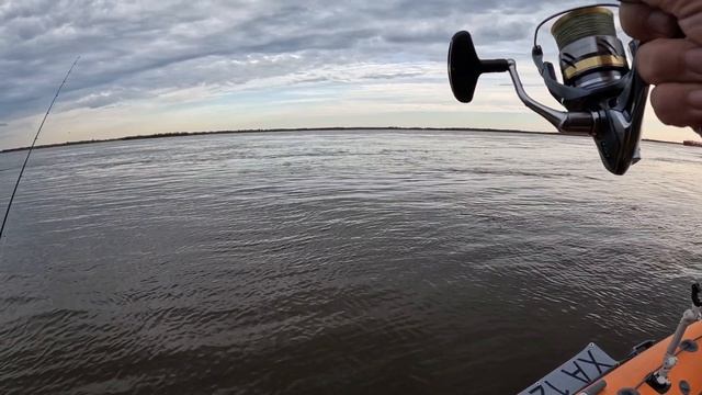 Игры с Амурскими хищными рыбами.Ауха сом верхогляд шука