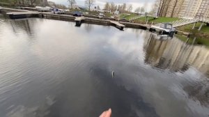 Утренняя рыбалка в Галерной гавани. Конец апреля