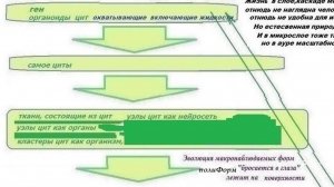 3-1+++ Единицы жизни   взамен  кошки собаки  верблюда и марковских ежей.  Нуклеотиды нейроциты