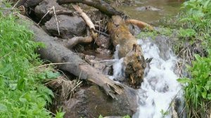 Казачий водопад_Архыз_31.05.2025