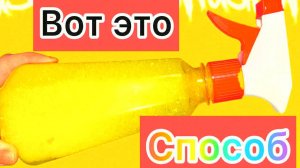Секрет идеально чистых стёкол и зеркал! Вот что нужно сделать перед мытьём – без этого не обойтись!