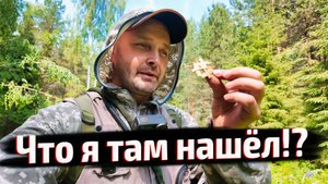 ДРЕВНИЕ СЛЕДЫ В ЛЕСУ — Исчезнувшие деревни и артефакты прошлого.