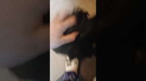 1000001501.mp4
