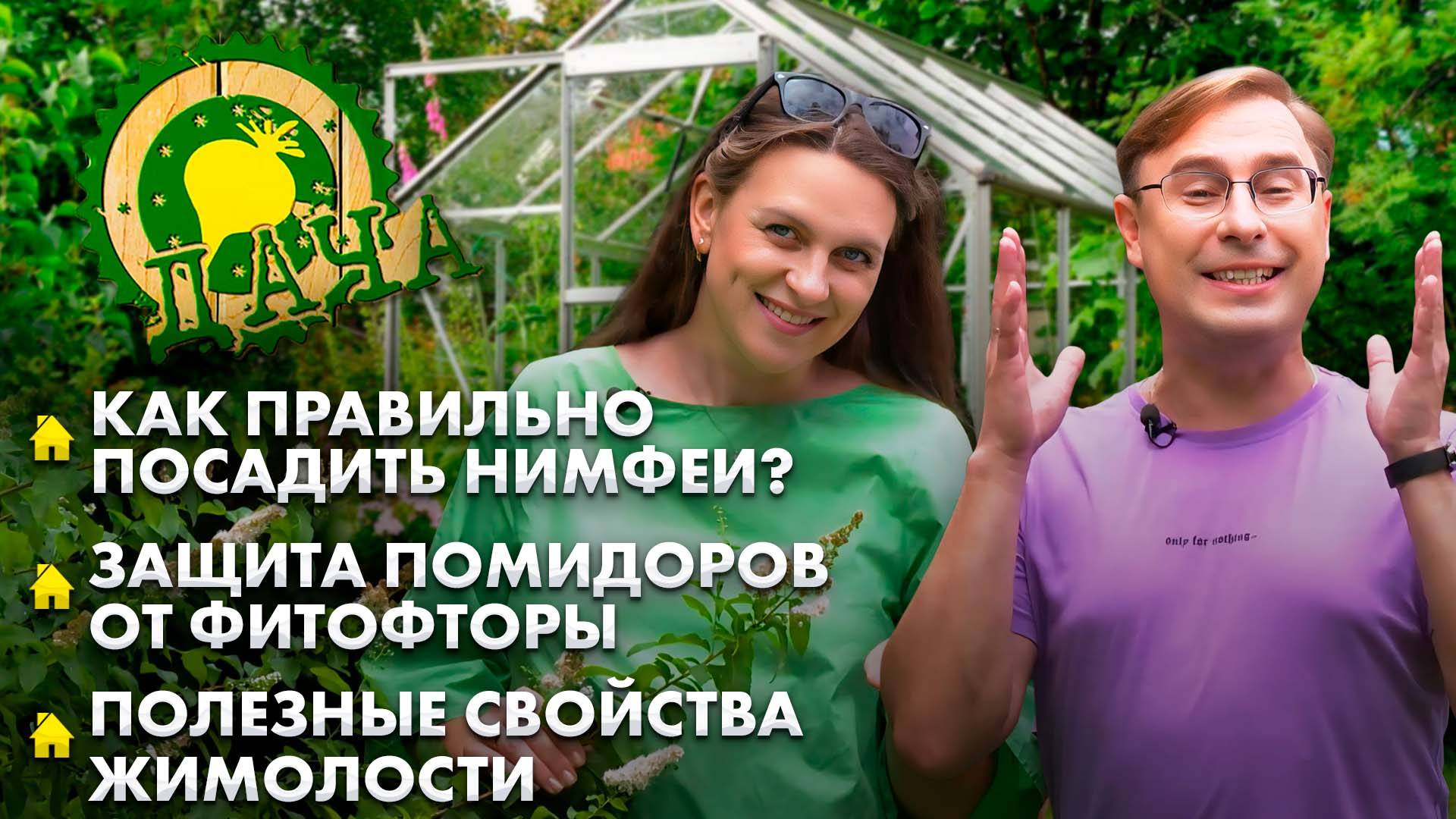 Жимолость | Как правильно посадить нимфеи? | Борьба с фитофторой | Лунный календарь. Дача