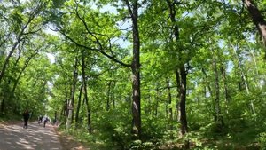 Велопрогулка парк Олимпик Воронеж с заездом в Централ