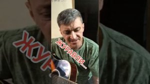 ЖУРАВЛИ... #tvmaestro