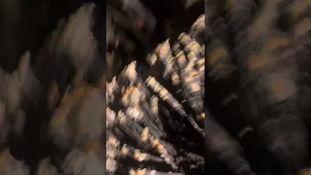 Камаз 6520 воздух ушел с первого контура смотреть онлайн