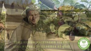 Планета коров