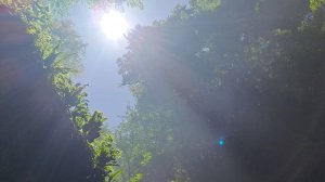 Ст.Баракаевская. Ущелье. Водопады.