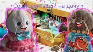 Собираем вещи на дачу