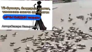 Текебер аялдын тагдыры/ Аудио китеп. Автор: Самара Нас?