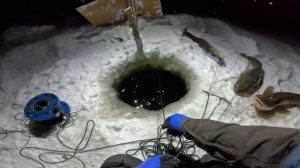 ПРОВЕРКА ПЕРЕМЕТА 19.11 | СМОТРИМ КТО СЕЛ НА ТУПЫЕ КРЮЧКИ