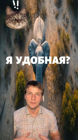 4 простых правила как избежать "эффекта хорошей жены!" | Эффект хорошей жены |