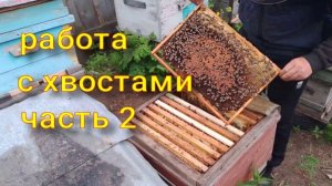работа с хвостами часть 2