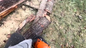 🔥🪓 Распил дров бензопилой STIHL | Firewood Cutting Like a Pro | No Talk,