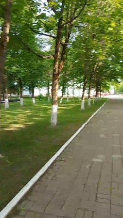 1000019287.mp4