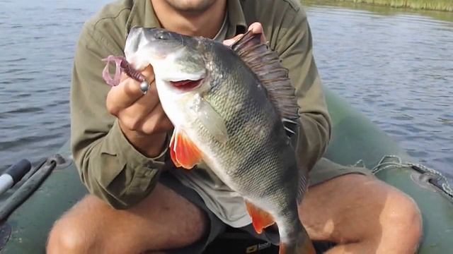 Переплутав кнопку фото з відео))) смотреть онлайн