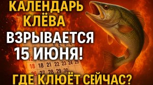 15 ИЮНЯ – ЗОЛОТОЙ ДЕНЬ по календарю клёва! Не проспи улов