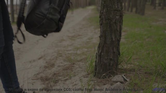 Музыка для квантовых компьютеров - услышьте будущее вычислений! - Neoene (XXIV) -- opo -- Estudios I