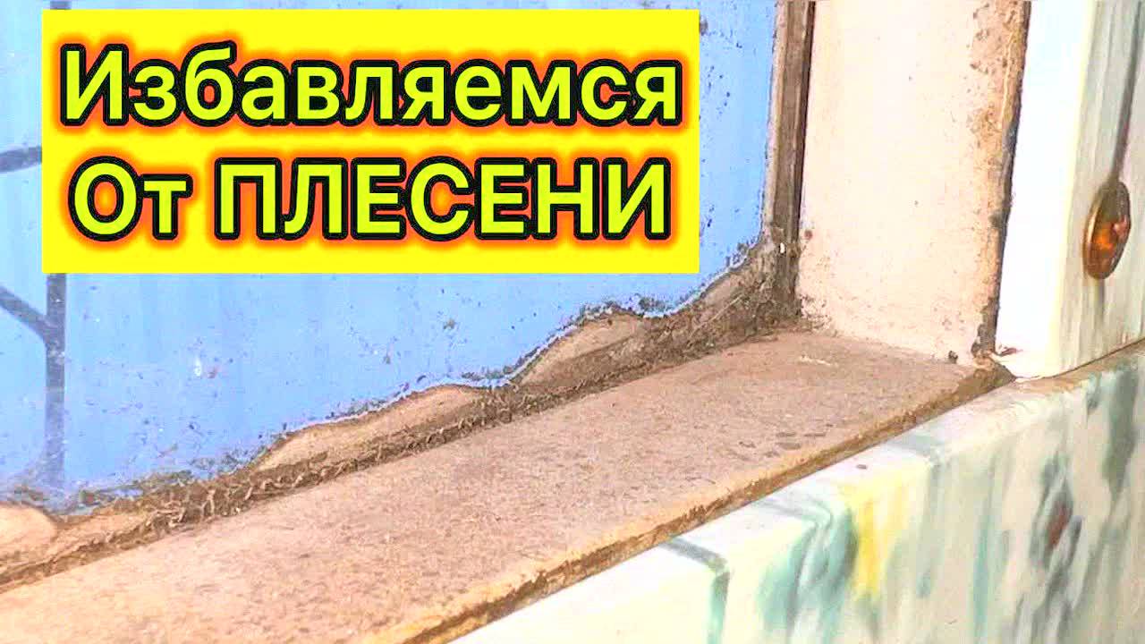 Дешевый способ избавиться от плесени в доме навсегда! Работает 100%, проверено лично!