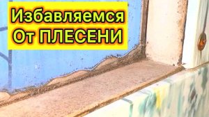 Дешевый способ избавиться от плесени в доме навсегда! Работает 100%, проверено лично!