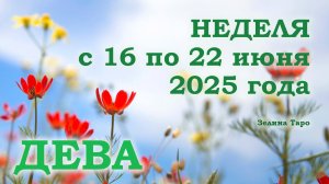 ДЕВА | ТАРО прогноз на неделю с 16 по 22 июня 2025 года