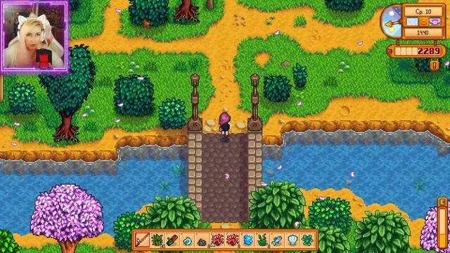 Stardew Valley 1.6 #4 - День рождения Винсента. Шахты и рюкзак.