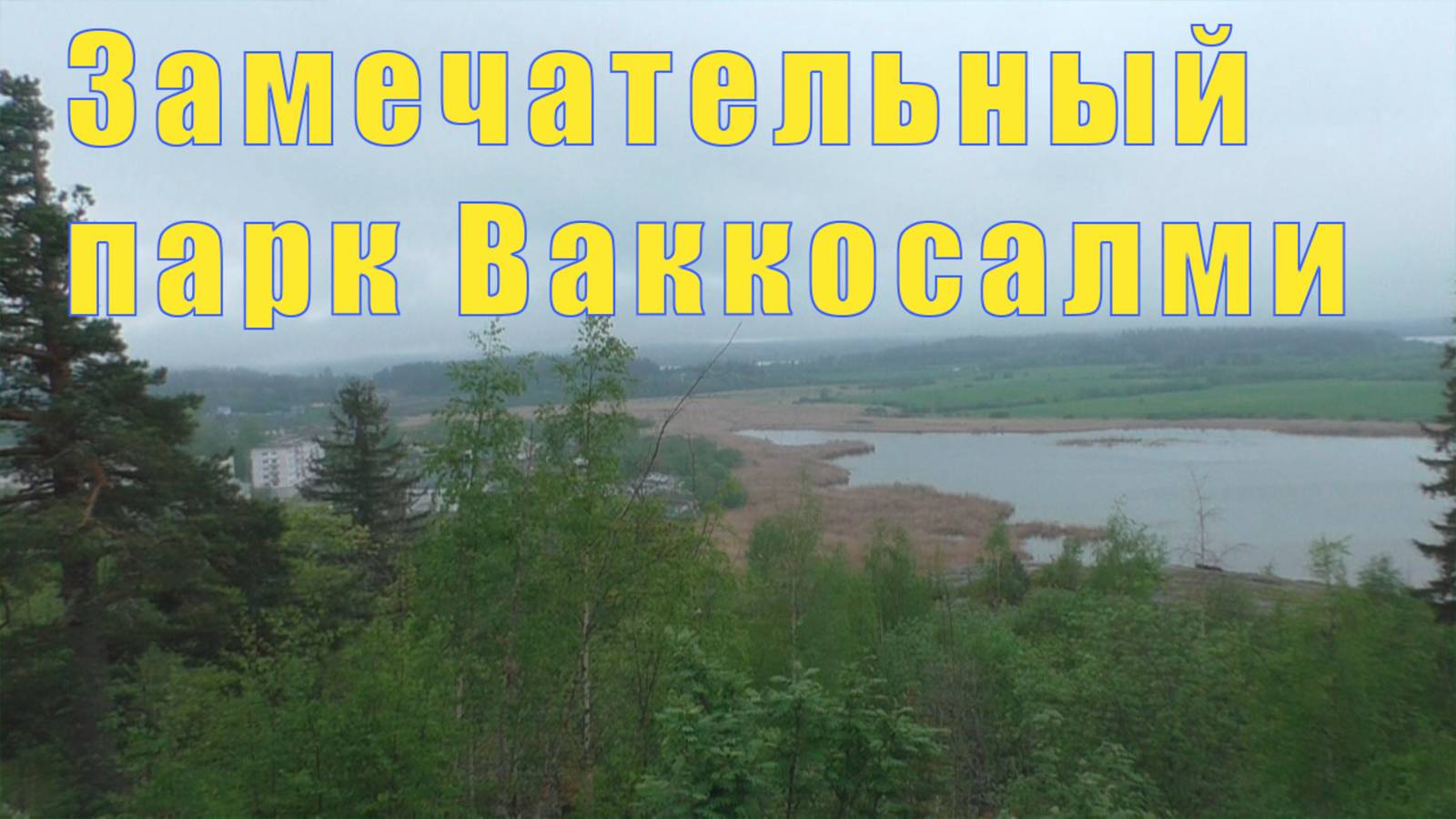 ЗАМЕЧАТЕЛЬНЫЙ ПАРК ВАККОСАЛМИ в СОРТАВАЛА/  29 и 30 мая 2025