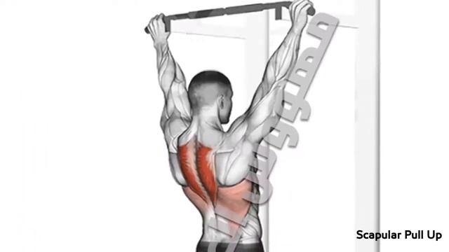 Турник тренировка на крыло смотреть онлайн