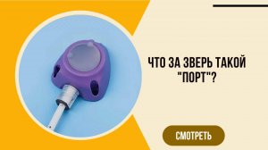 Что же за зверь такой - порт?