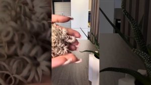 Готовим волосы для куклы сами.