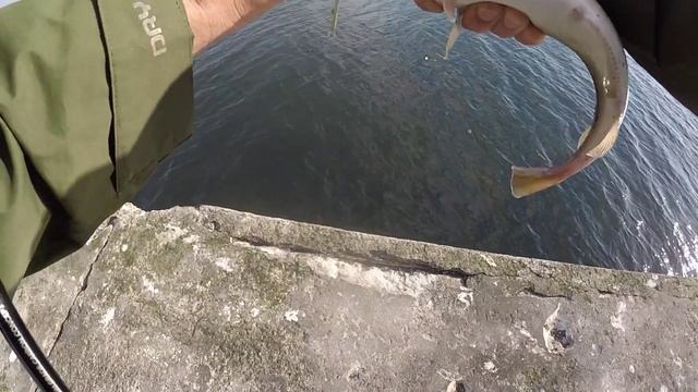 Тест пилькеров сделанных своими руками смотреть онлайн