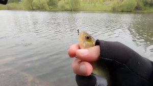 Рыбалка2025 на боковой кивок!!!