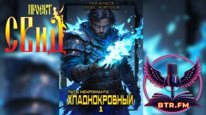 АУДИОКНИГА."Путь некроманта [1]. Хладнокровный" Авторы Денис Моргунов и Тим Волков. Саня БтрЪ & СВиД