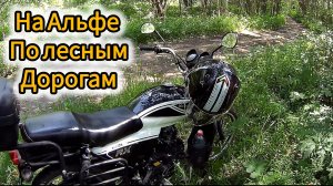 Летняя мото прогулка: По лесам и полям на мопеде Альфа