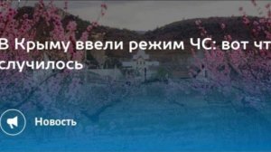 СИТУАЦИЯ В КРЫМУ/ НАДО ОБЪЕДИНЯТЬСЯ/ СЕРГИЙ АЛИЕВ/ КОНТАКТЫ: +79000486385/ РЕПОСТ!