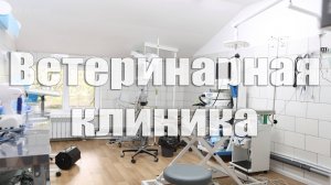 Ветеринарная клиника ЛапЛандия