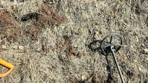 Царские монеты 18 века Активный коп монет 2025