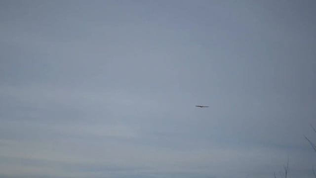 28.04.2017 летаю пчела и шмеля (летающее крыло ч.3) смотреть онлайн