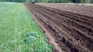 Первые испытания мини трактора в борозде.