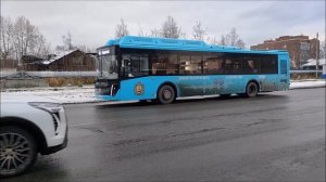 МАЗ-206, МАЗ-103 и ЛиАЗ-4292 на маршруте № 5, г. Архангельск